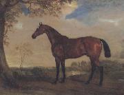 John Ferneley Portrait of a Hunter Mare,The Property of Robert shafto of whitworth park,durham Sweden oil painting artist